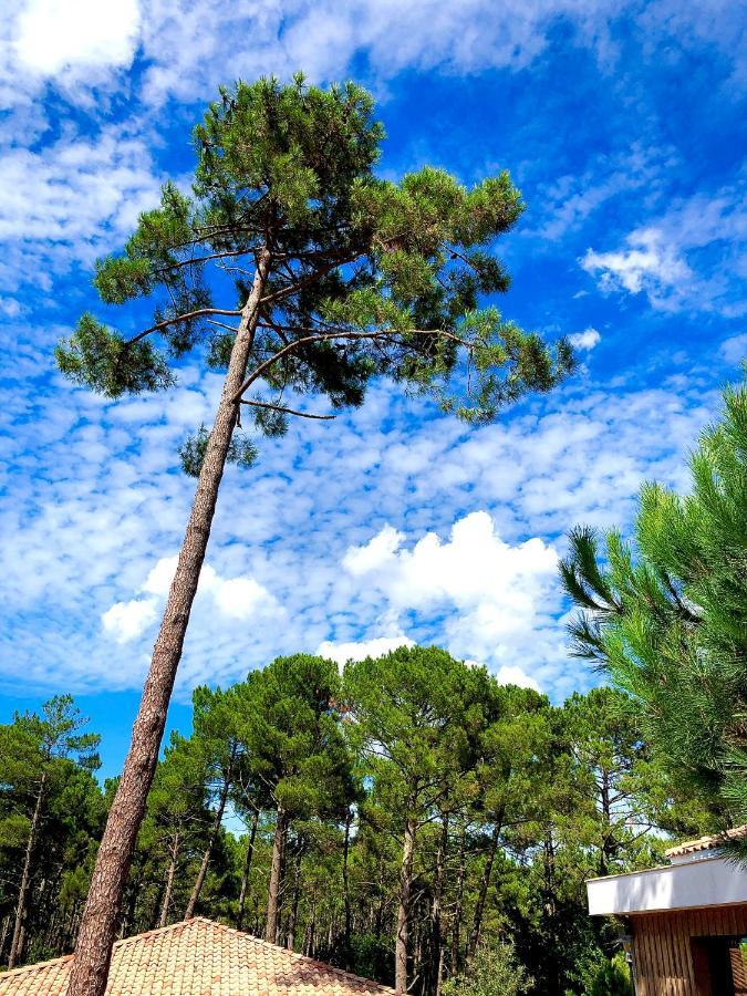 Domaine Du Ferret Restaurant & 4* Lege-Cap-Ferret