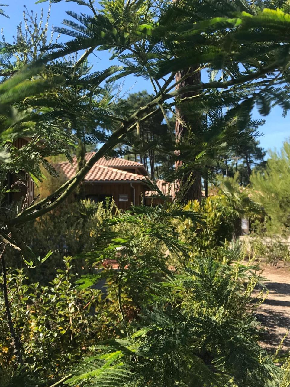 Aparthotel Domaine Du Ferret Balnéo&spa